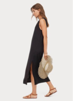 Aminatiom Descentation Ipsum