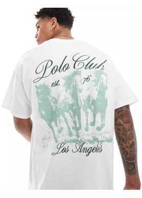 Футболка чоловіча с принтом 46 Біла 2664092820