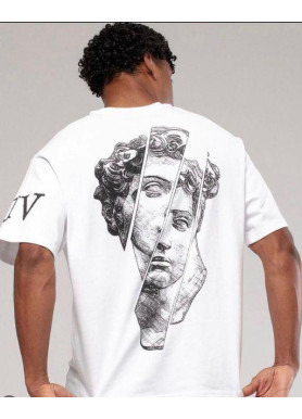 Футболка чоловіча с принтом 46 Біла 2664090993